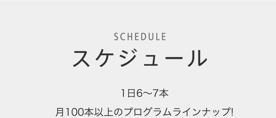 スケジュール