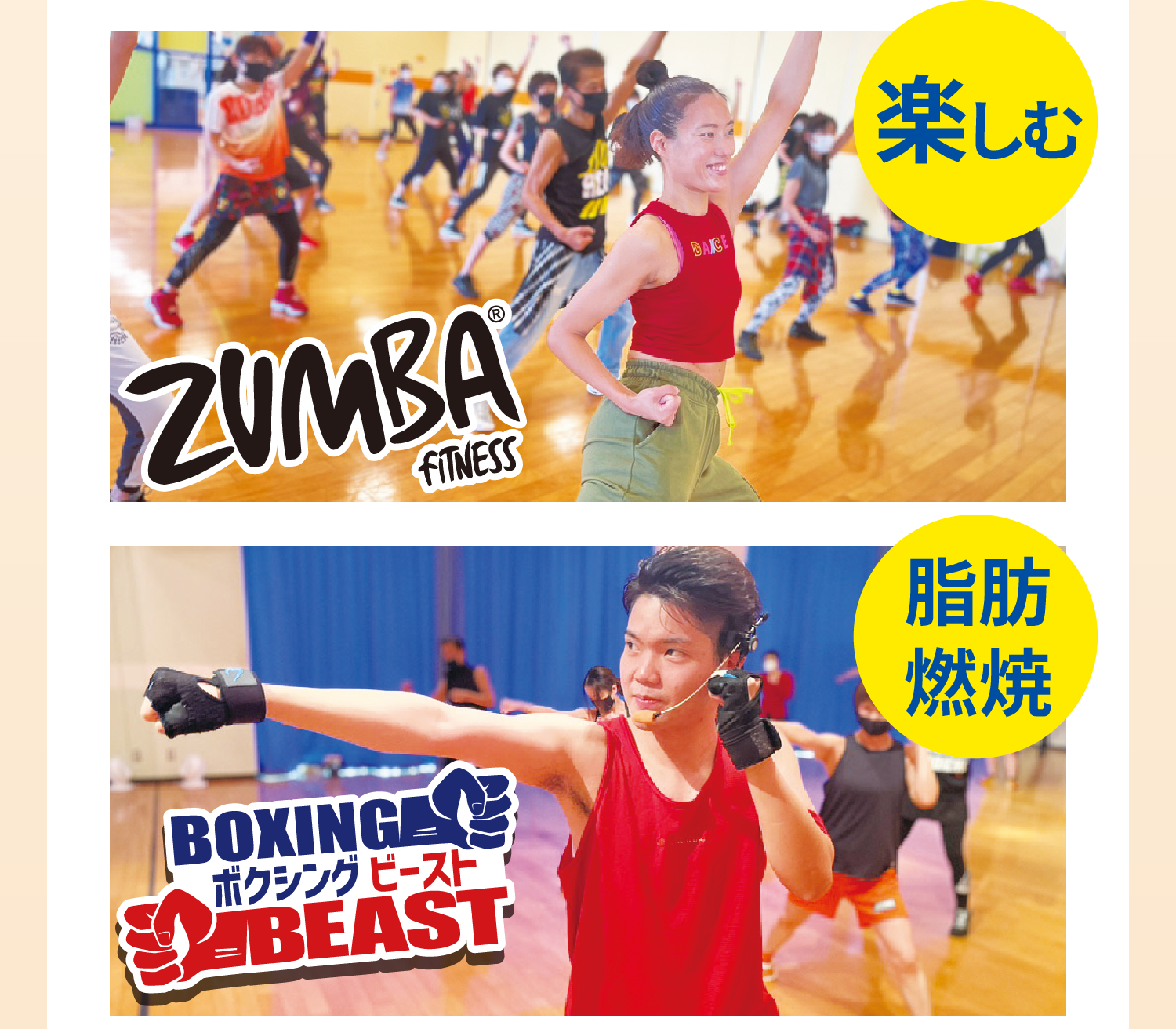 楽しむ ZUMBA 脂肪燃焼 ボクシングビースト