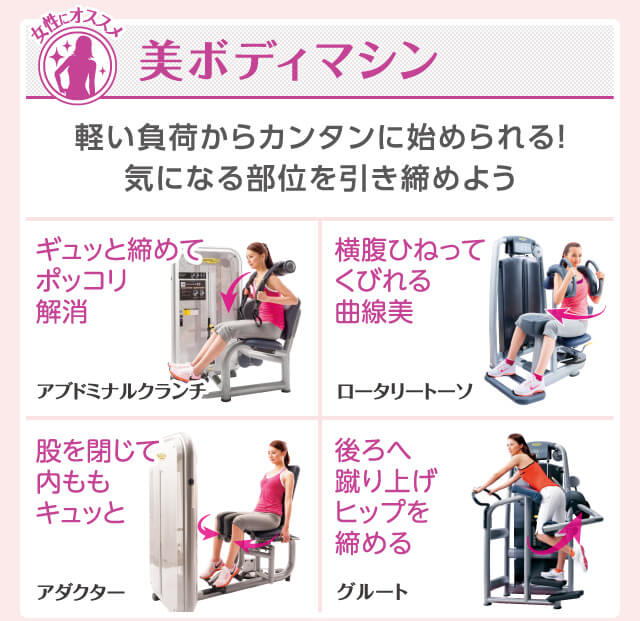 美ボディエリア