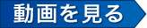 動画を見る